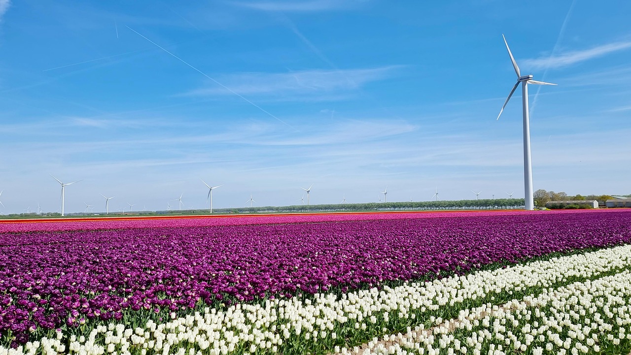 Koopzondag Zeewolde