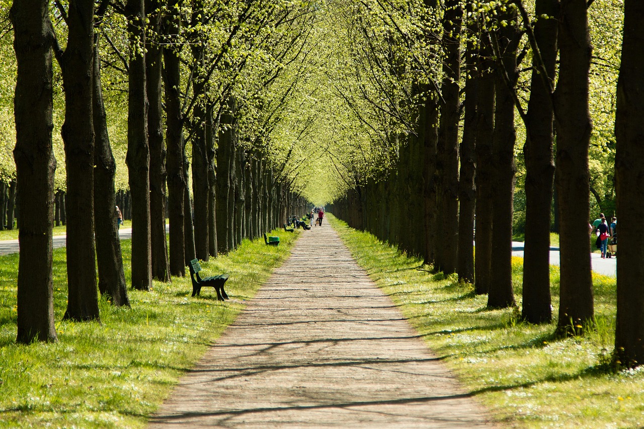Intratuin Geleen