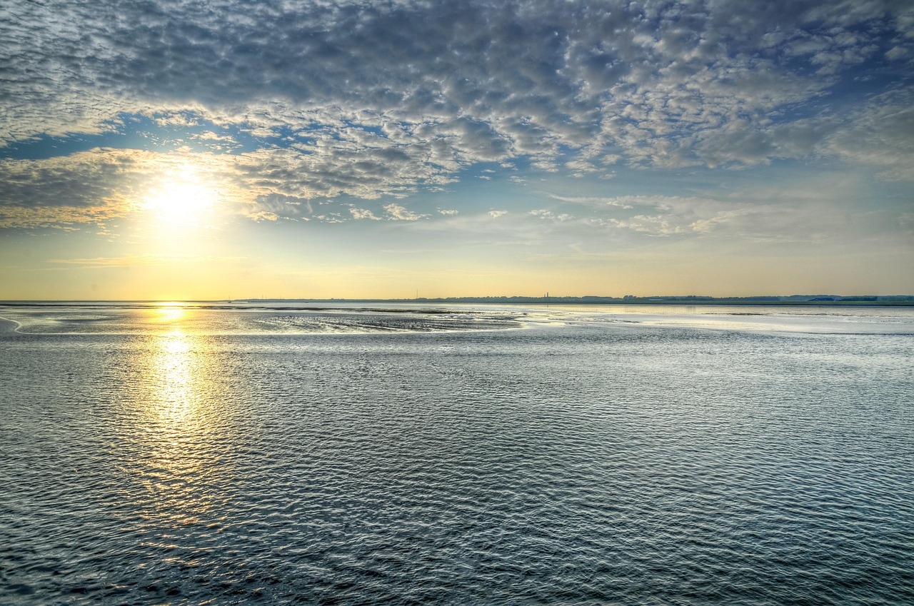 Koopzondag Delfzijl